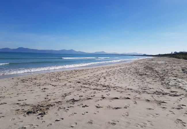 Ferienwohnung in Alcudia - Blue Sky Wohnung mit Meerblick in Puerto Alcudia