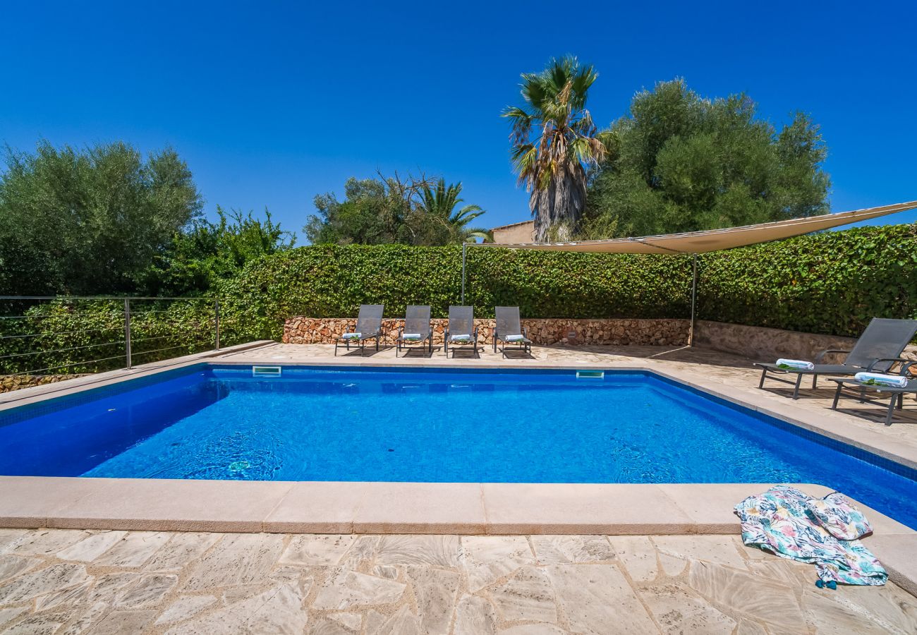 Sommerurlaub in der mallorquinischen Sonne