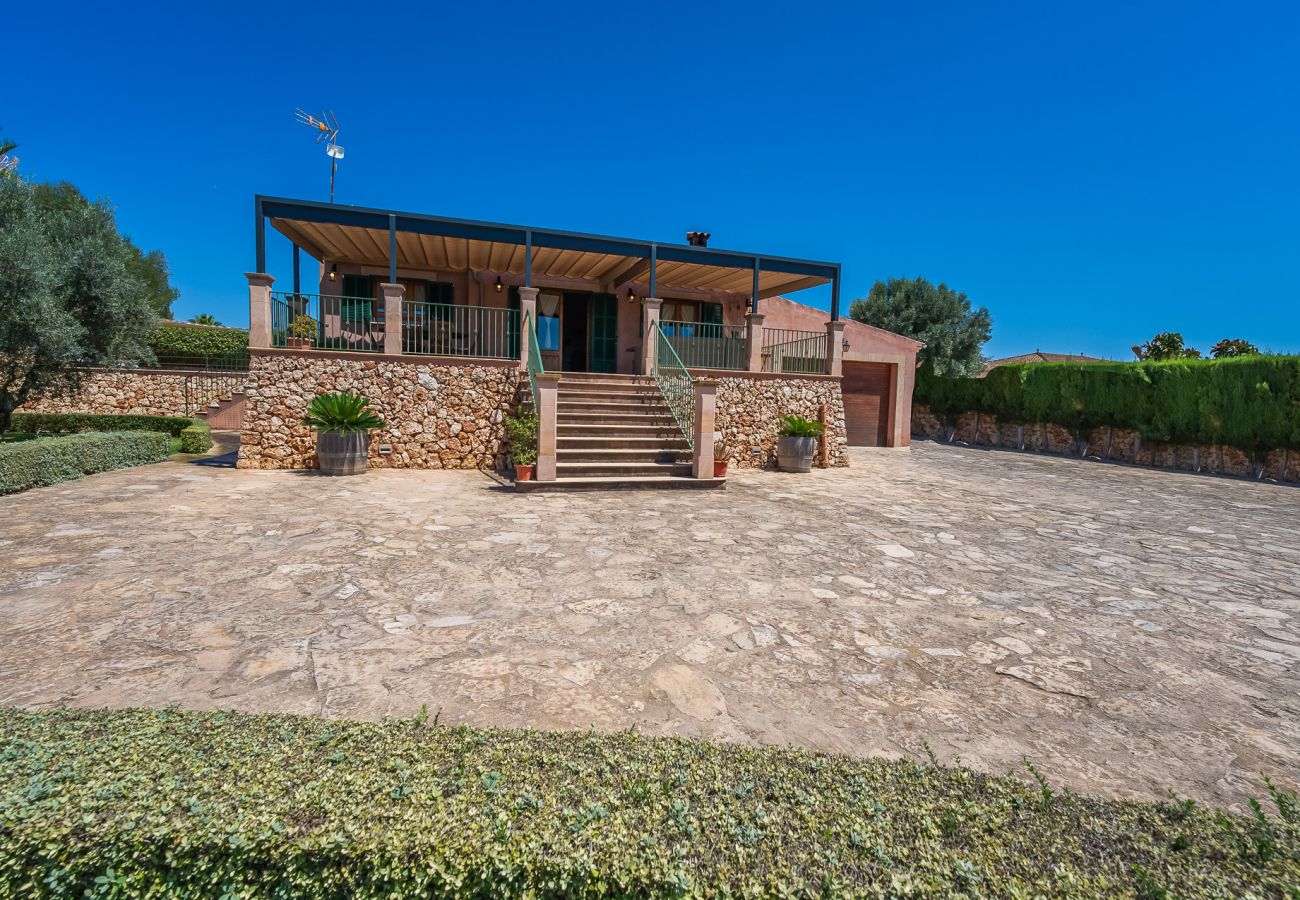 Finca in Manacor - Finca mit Pool Son Frau auf Mallorca