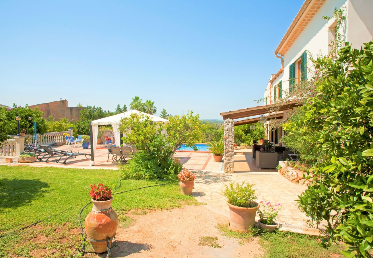 Finca in Muro - Ländliche Finca can Rius in Muro mit Pool