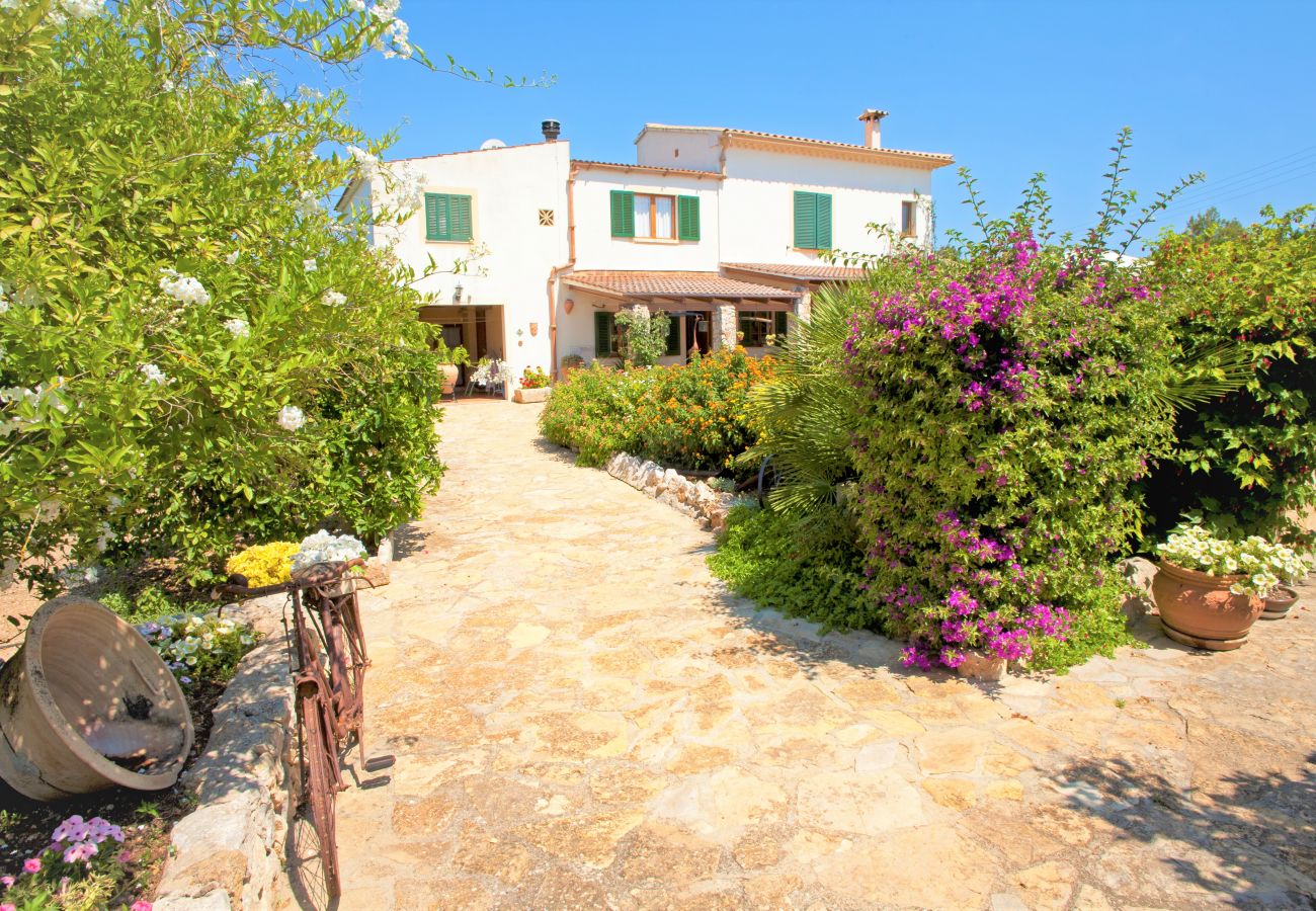 Finca in Muro - Ländliche Finca can Rius in Muro mit Pool