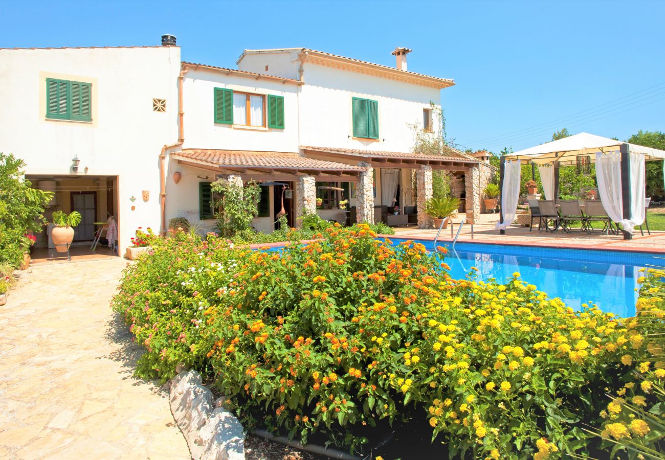 Finca in Muro - Ländliche Finca can Rius in Muro mit Pool