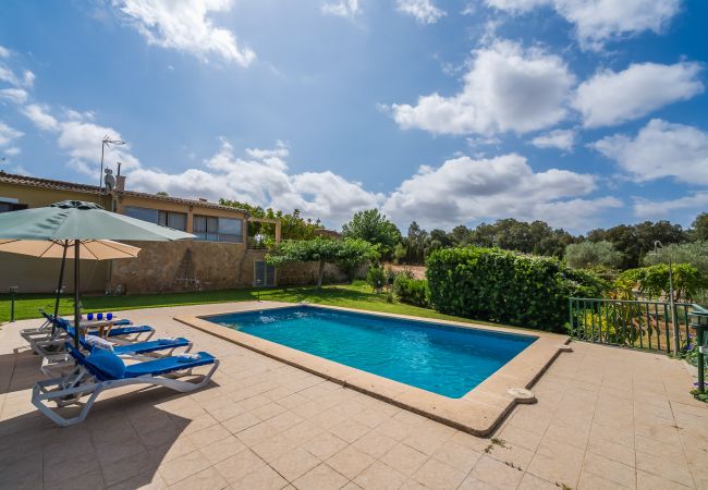 Finca in Arta - Ländliche Finca Pool Es Sementaret auf Mallorca 