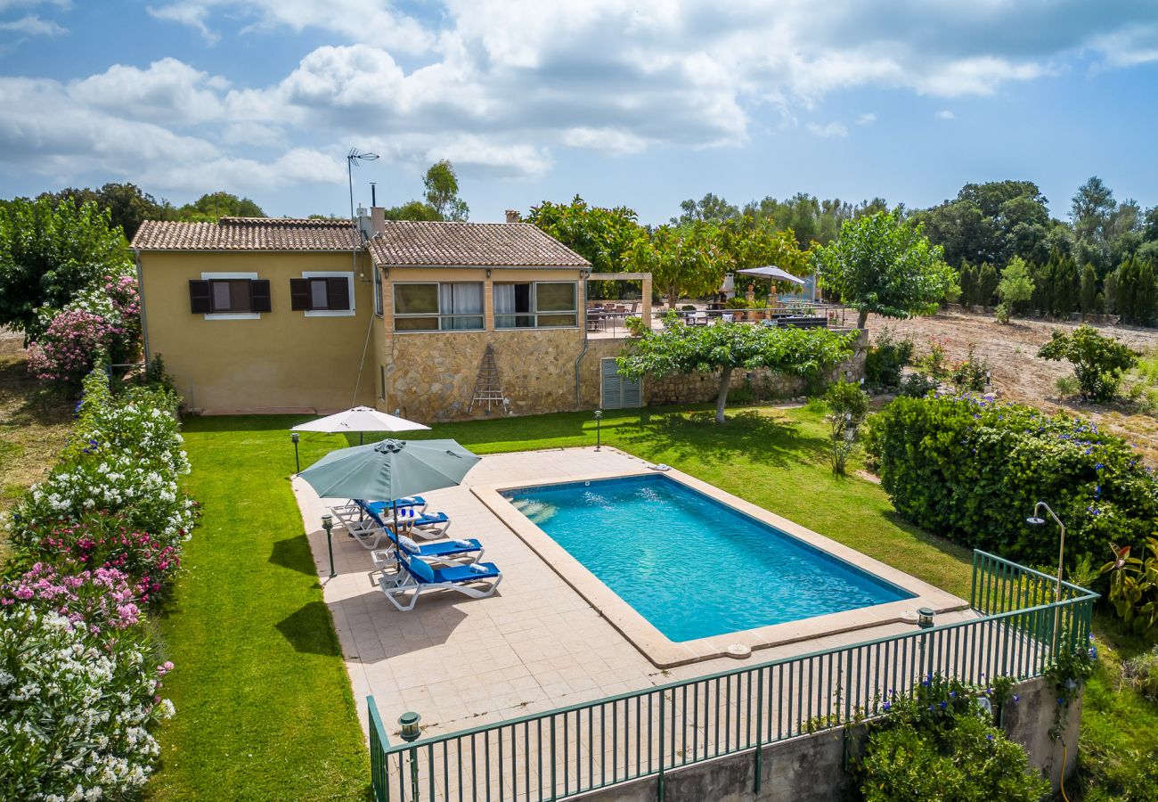 Finca in Arta - Ländliche Finca Pool Es Sementaret auf Mallorca 