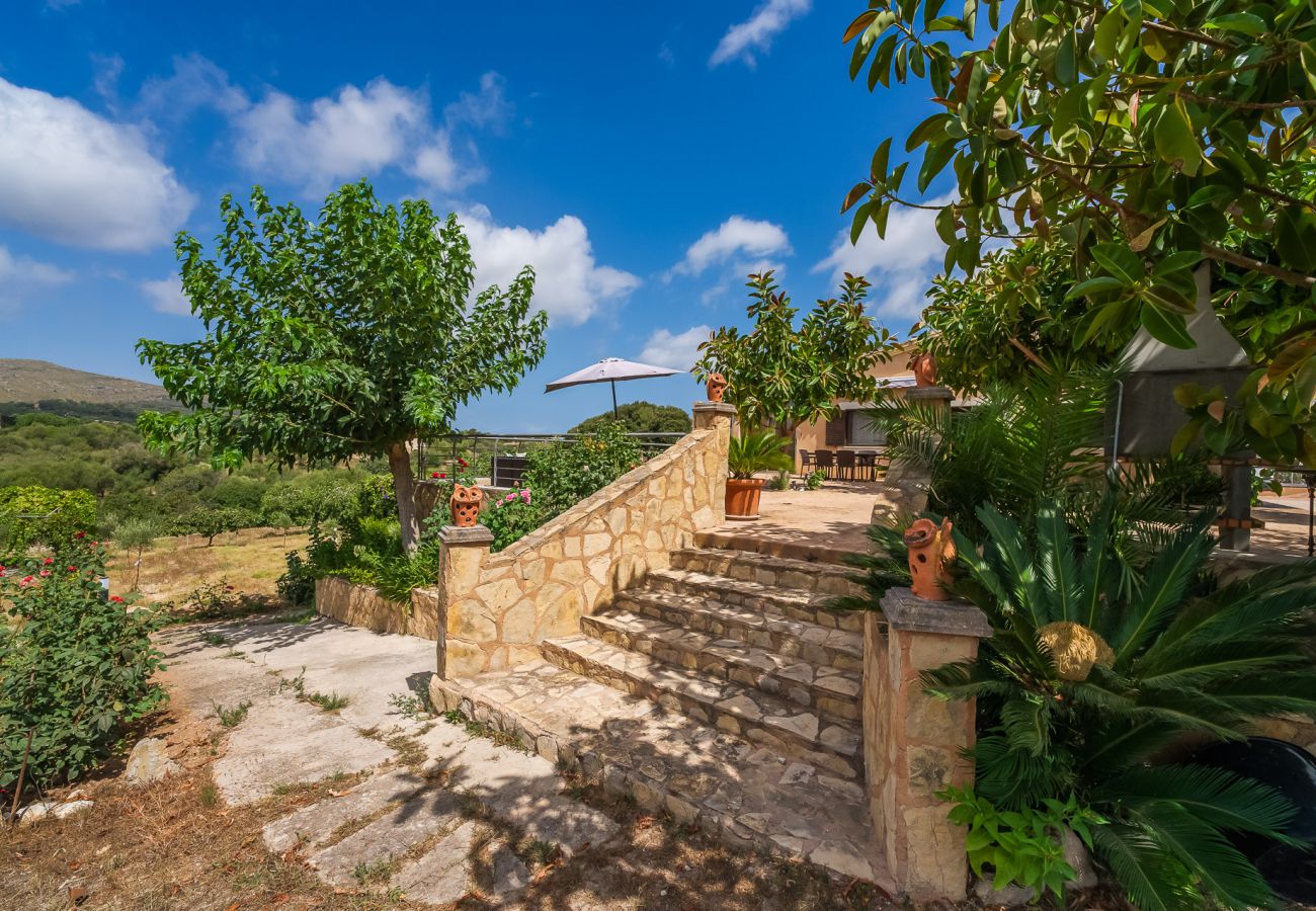 Finca in Arta - Ländliche Finca Pool Es Sementaret auf Mallorca 