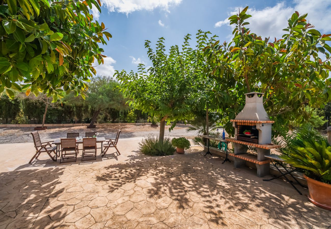 Finca in Arta - Ländliche Finca Pool Es Sementaret auf Mallorca 