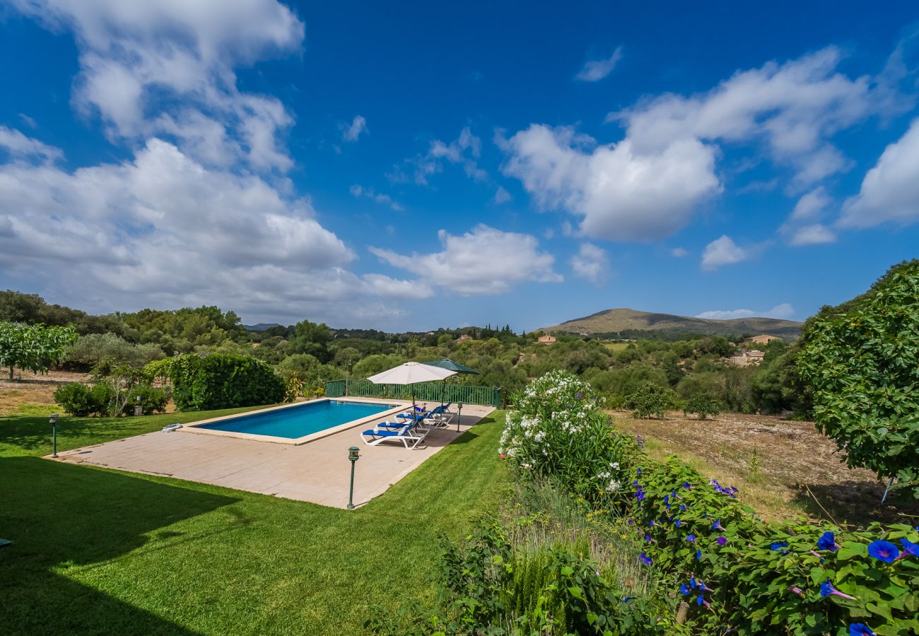 Finca in Arta - Ländliche Finca Pool Es Sementaret auf Mallorca 