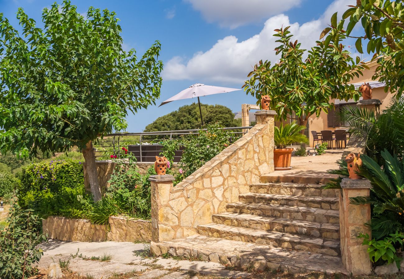 Finca in Arta - Ländliche Finca Pool Es Sementaret auf Mallorca 