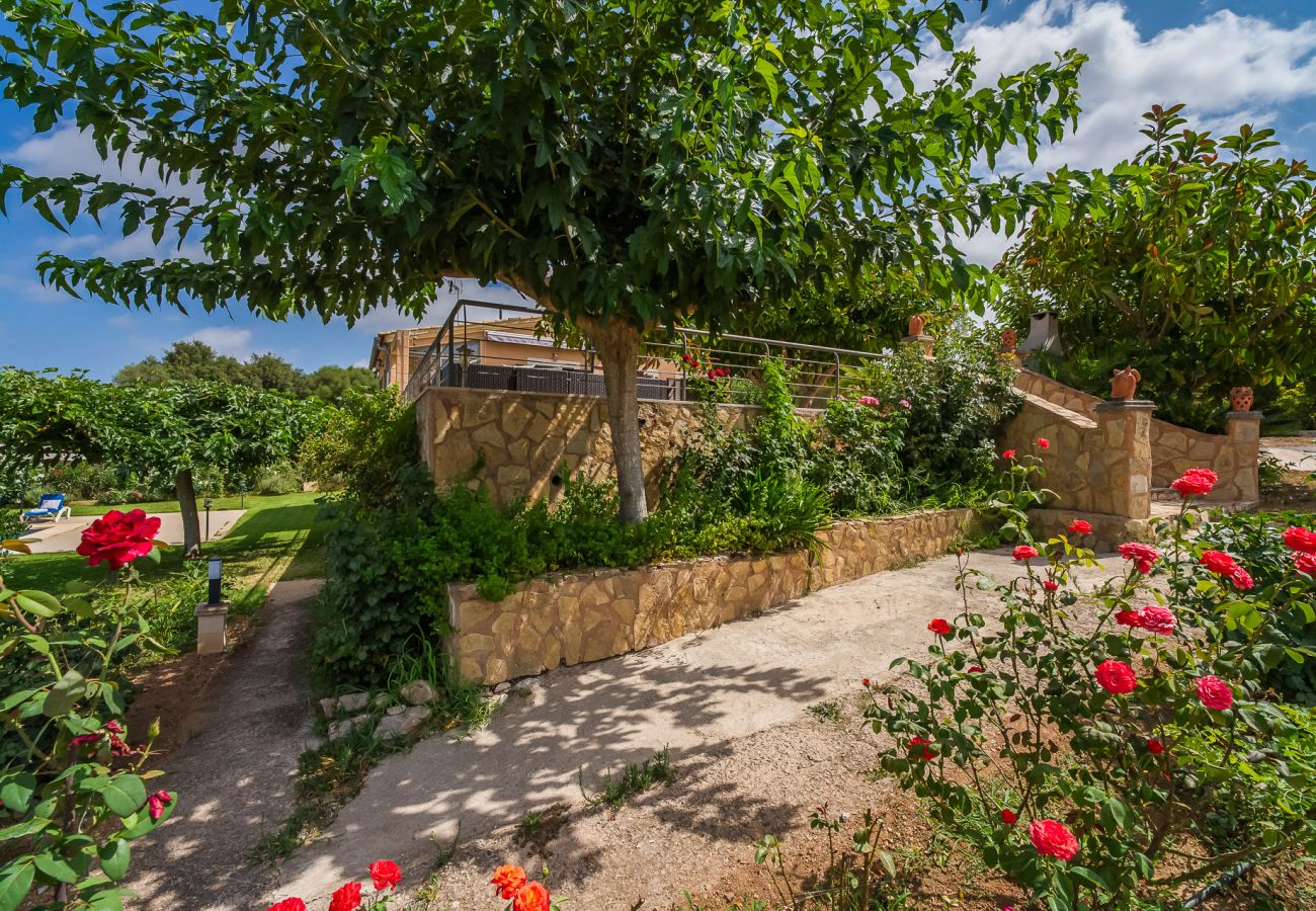 Finca in Arta - Ländliche Finca Pool Es Sementaret auf Mallorca 