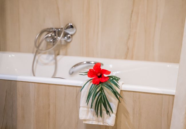 Finca in Petra - Ländliche Finca auf Mallorca El Palmeral mit Pool Finca in Petra - Ländliche Finca auf Mallorca El Palmeral mit Pool