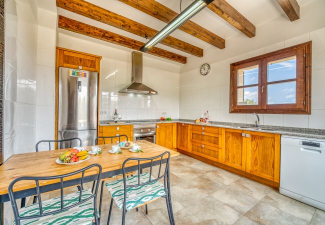 Finca in Petra - Ferienhäuser mit Privatpool und schöne ausblicke auf Mallorca Finca in Petra - Ferienhäuser mit Privatpool und schöne ausblicke auf Mallorca