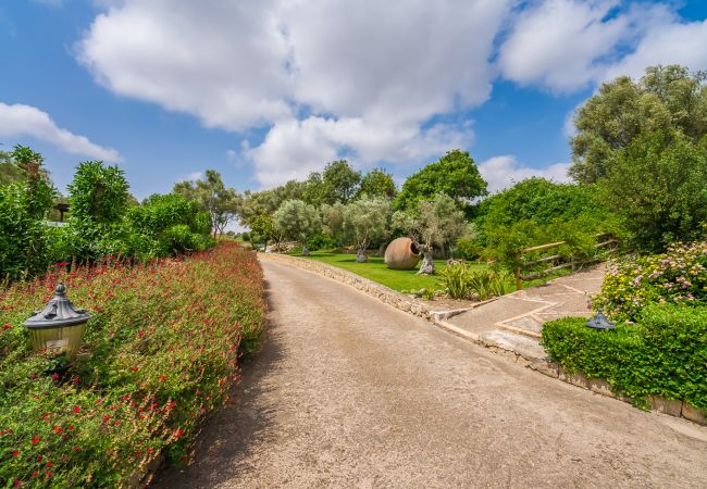 Finca in Petra - Ferienhäuser mit Privatpool und schöne ausblicke auf Mallorca Finca in Petra - Ferienhäuser mit Privatpool und schöne ausblicke auf Mallorca