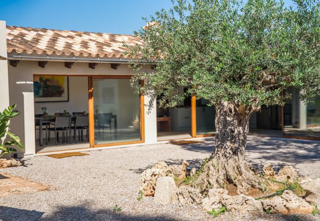 Finca in Binissalem - Finca mit Schwimmbad Can Davero auf Mallorca