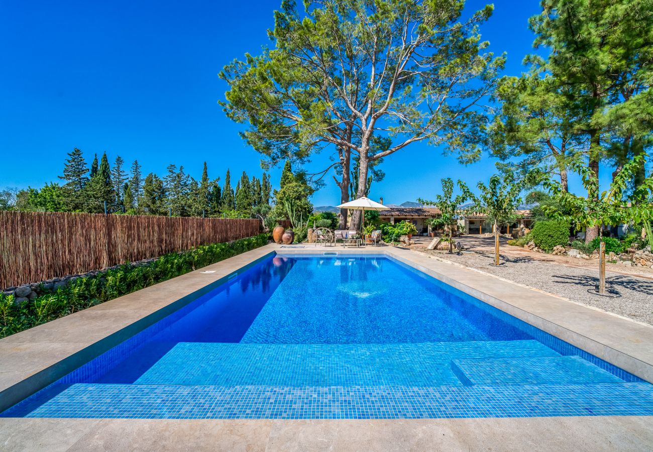 Finca in Binissalem - Finca mit Schwimmbad Can Davero auf Mallorca