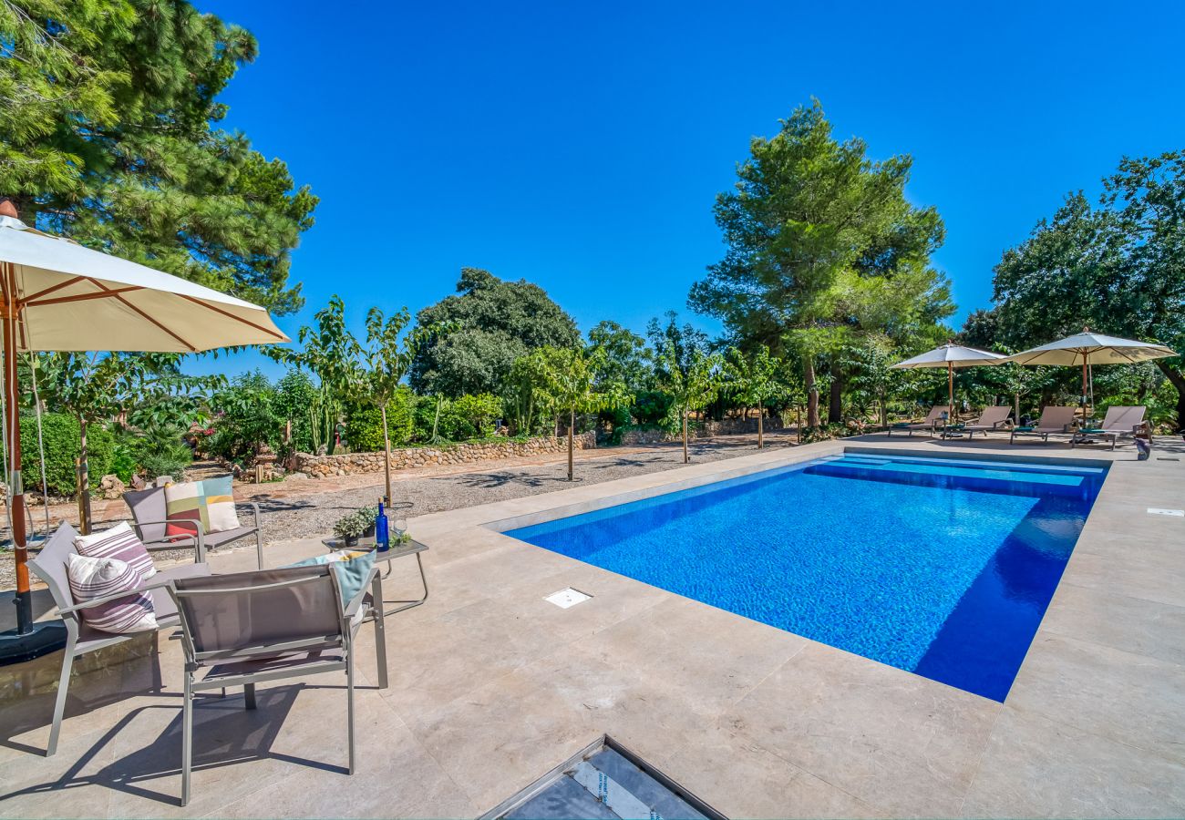 Finca in Binissalem - Finca mit Schwimmbad Can Davero auf Mallorca