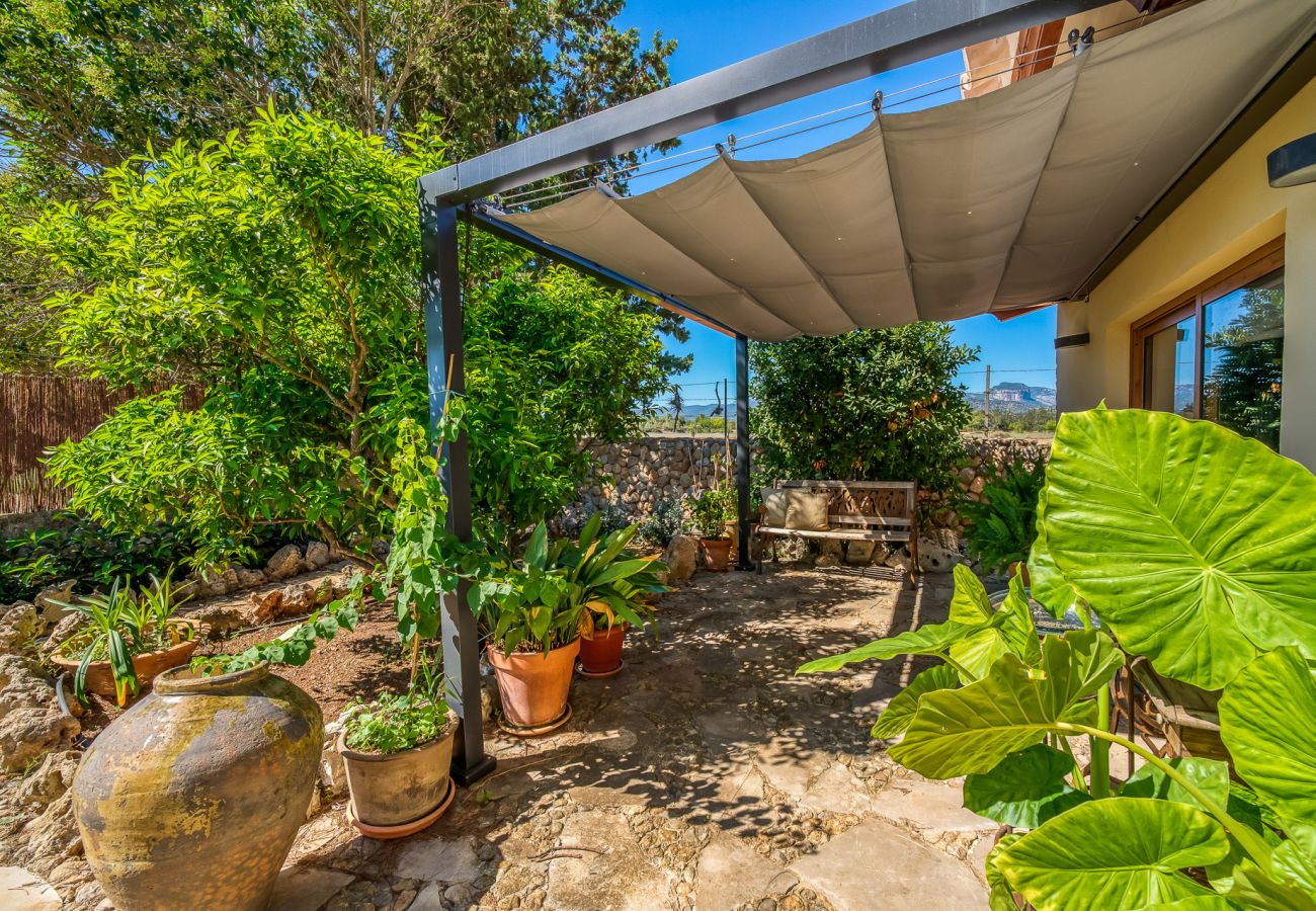 Finca in Binissalem - Finca mit Schwimmbad Can Davero auf Mallorca