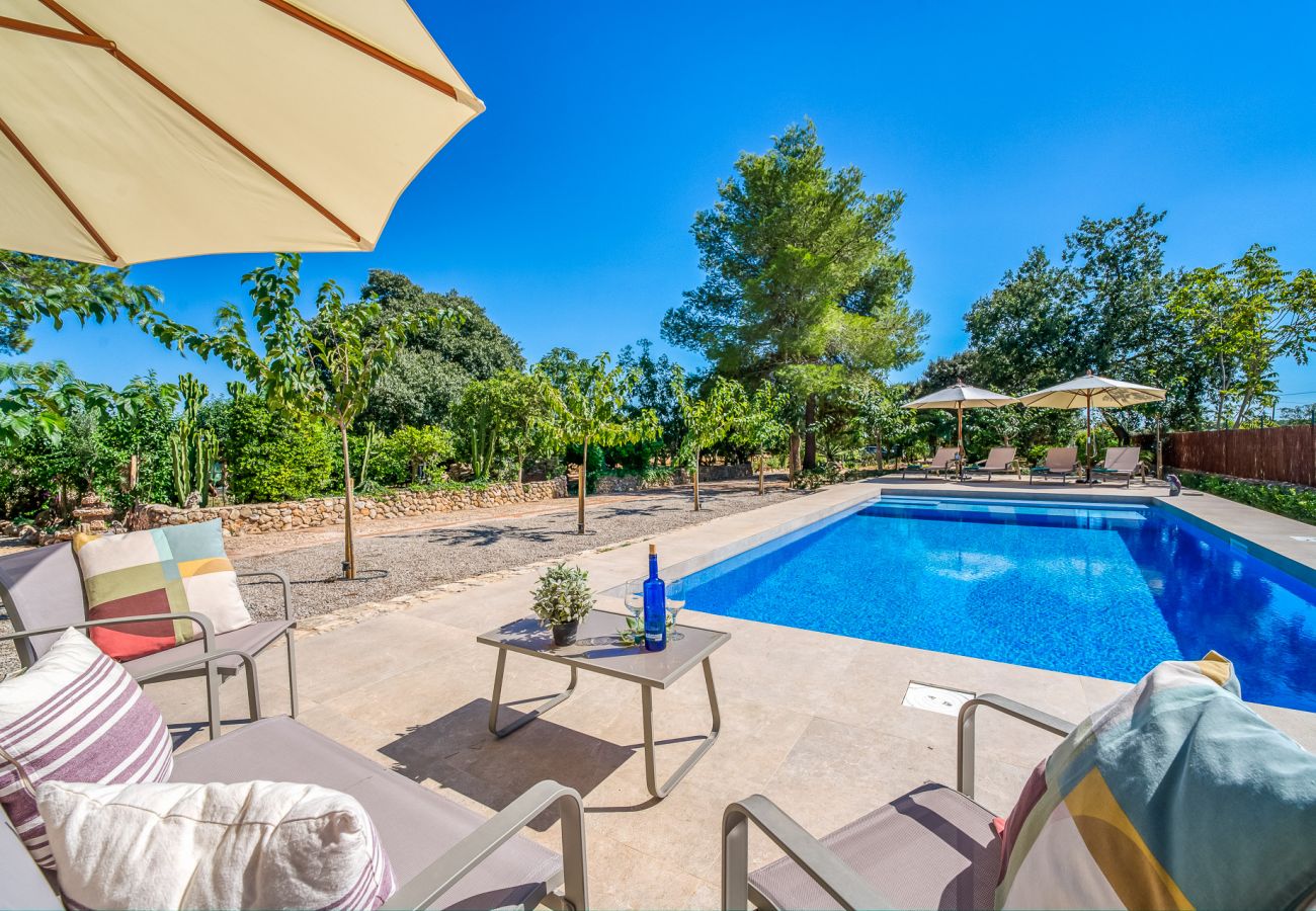 Finca in Binissalem - Finca mit Schwimmbad Can Davero auf Mallorca