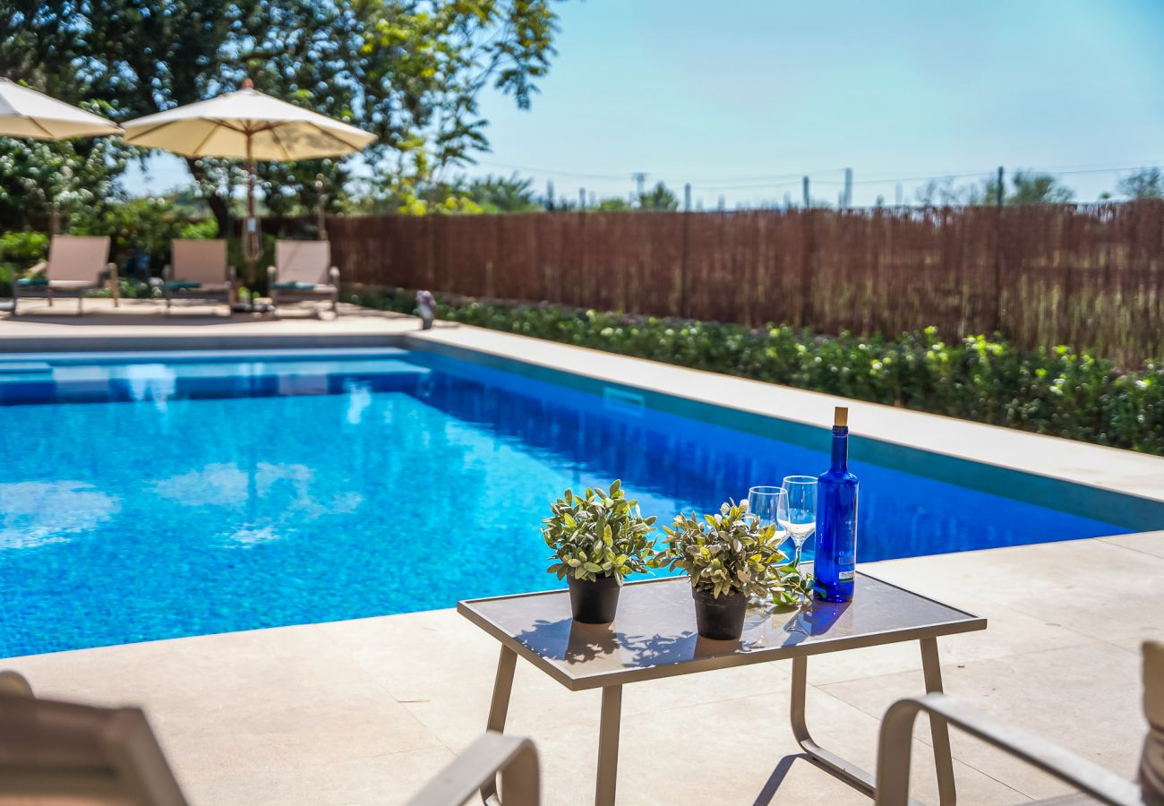 Finca in Binissalem - Finca mit Schwimmbad Can Davero auf Mallorca