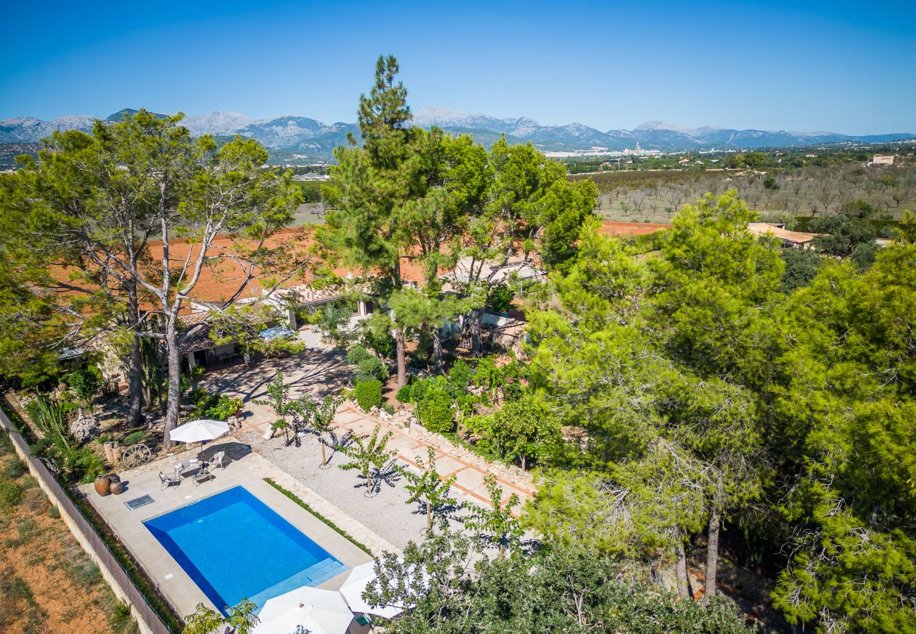 Finca in Binissalem - Finca mit Schwimmbad Can Davero auf Mallorca