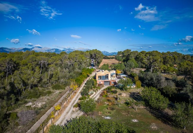 Finca in Sencelles - Finca mit Pool Villa Laiar auf Mallorca