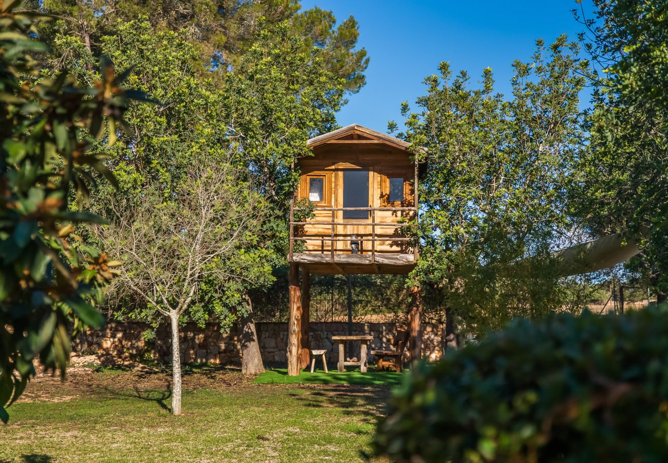 Finca in Sencelles - Finca mit Pool Villa Laiar auf Mallorca