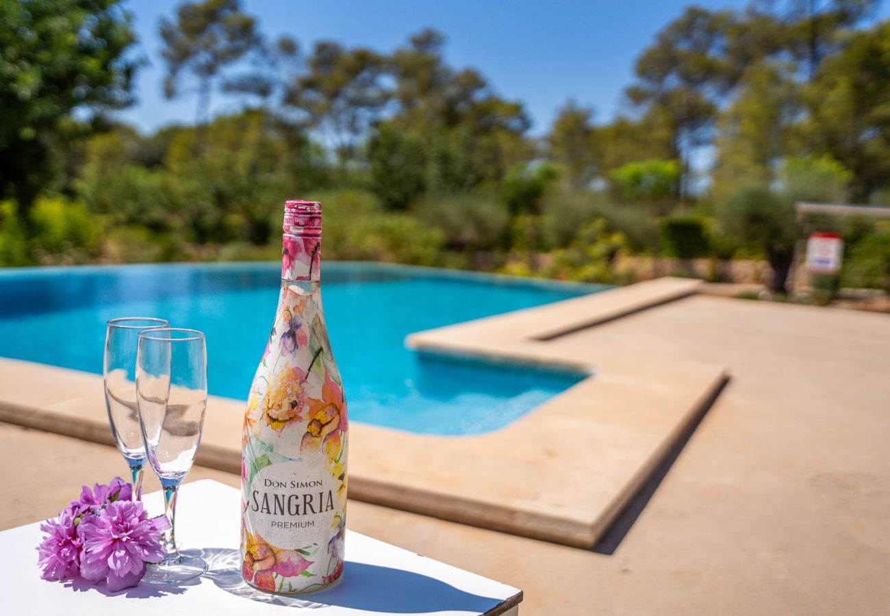 Finca in Sencelles - Finca mit Pool Villa Laiar auf Mallorca