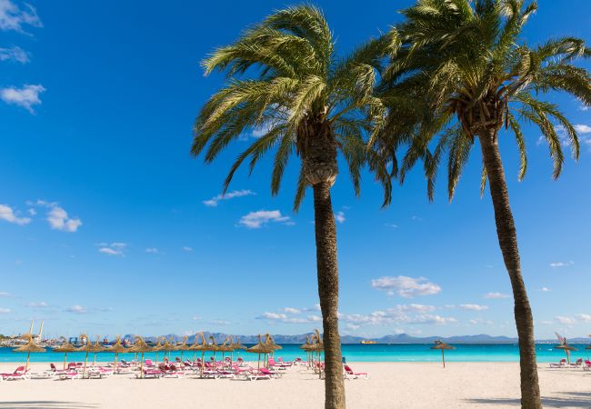 Ferienwohnung in Alcúdia - Wohnung Bahia Blanca in Alcudia Strand Ferienwohnung in Alcúdia - Wohnung Bahia Blanca in Alcudia Strand