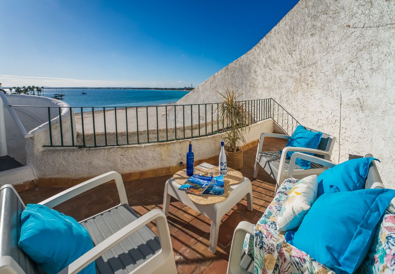 Ferienwohnung in Puerto de Alcudia - Wohnung Dali 127 in Alcudia Strand
