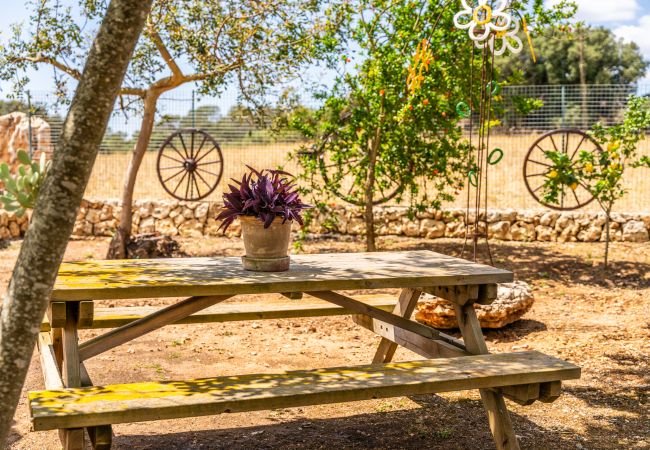 Ferienhaus in Costitx - Ländliche Finca auf Mallorca Son Tomasset mit Pool Ferienhaus in Costitx - Ländliche Finca auf Mallorca Son Tomasset mit Pool