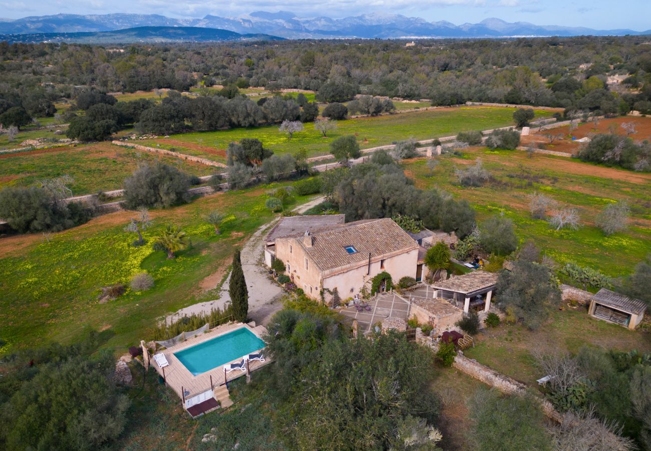 Finca in Algaida - Ländliches Finca Can Lloret auf Mallorca mit Pool