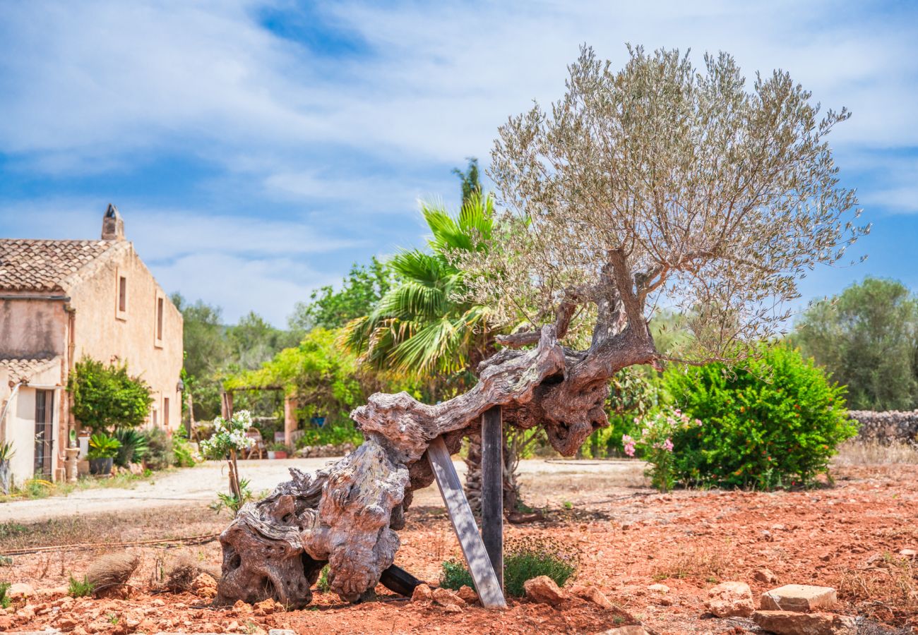 Finca in Algaida - Ländliches Finca Can Lloret auf Mallorca mit Pool