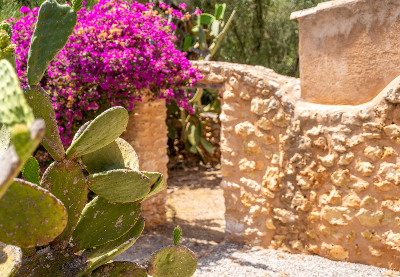 Ferienhaus in Manacor (Porto Cristo) - Finca mit Pool in Can Treupoc, Porto Cristo