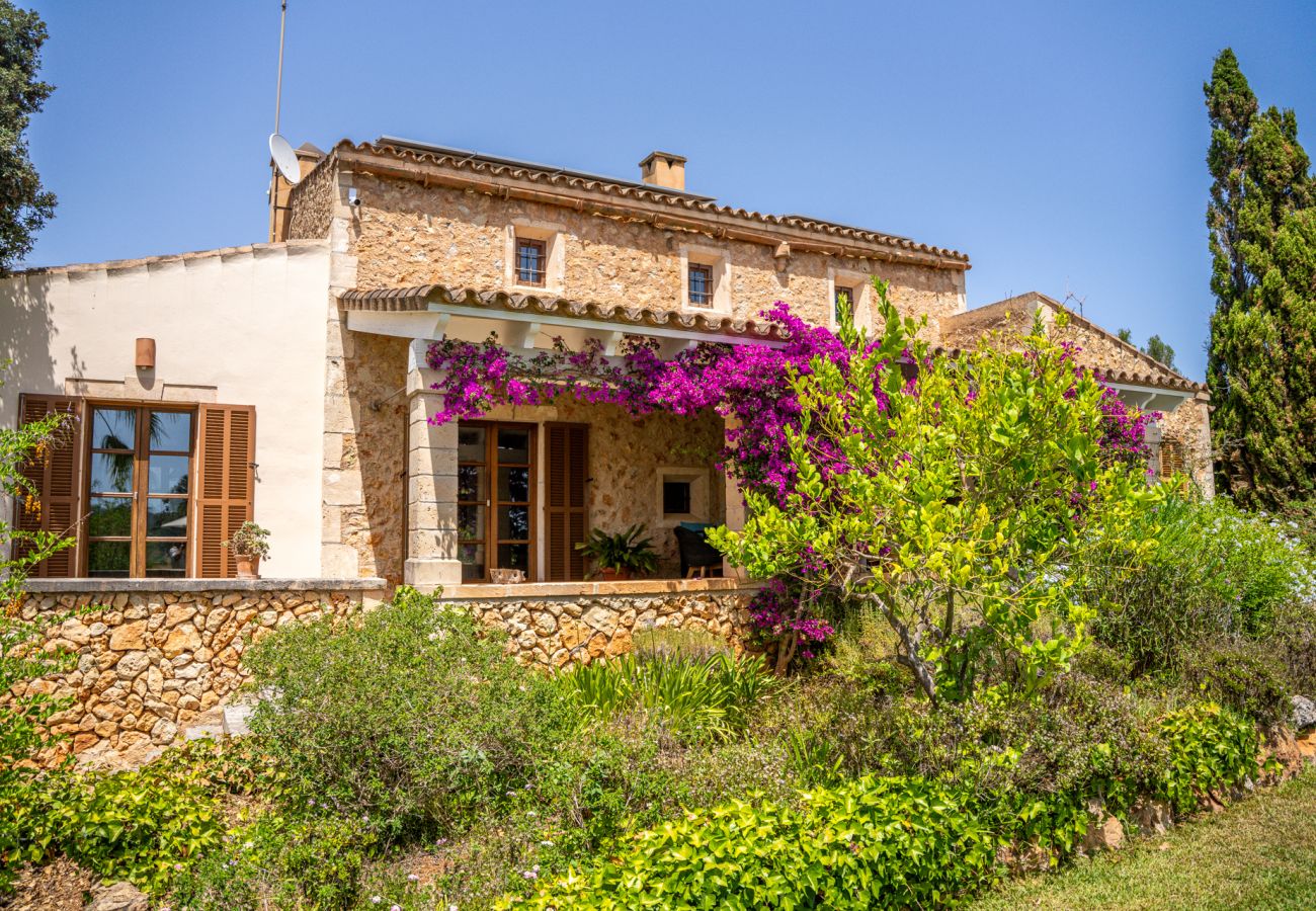 Ferienhaus in Manacor (Porto Cristo) - Finca mit Pool in Can Treupoc, Porto Cristo