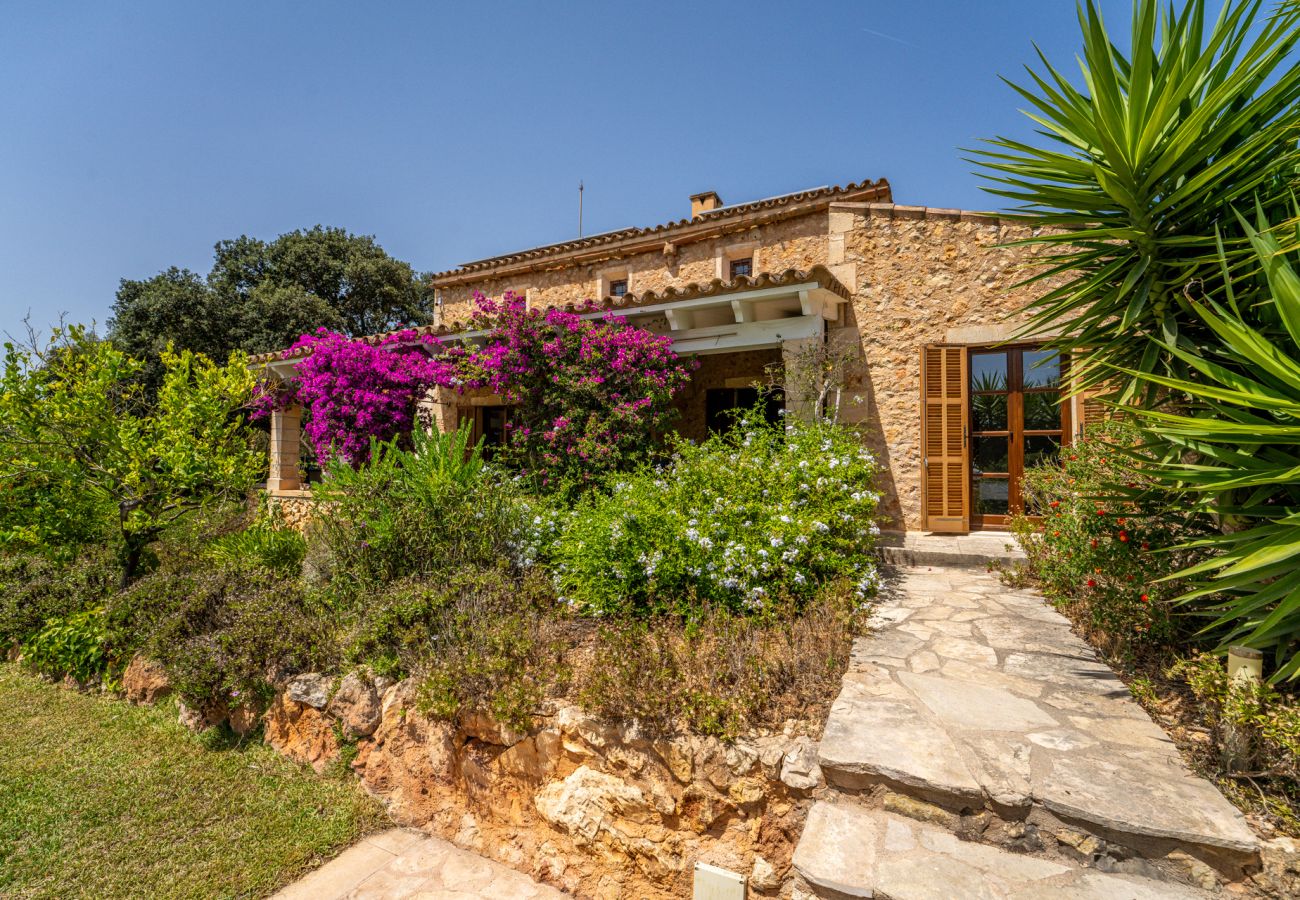Ferienhaus in Manacor (Porto Cristo) - Finca mit Pool in Can Treupoc, Porto Cristo