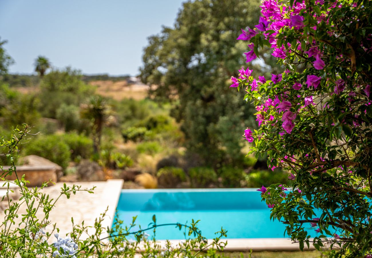 Ferienhaus in Manacor (Porto Cristo) - Finca mit Pool in Can Treupoc, Porto Cristo