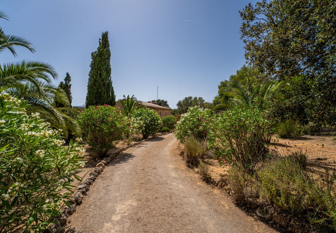 Ferienhaus in Manacor (Porto Cristo) - Finca mit Pool in Can Treupoc, Porto Cristo