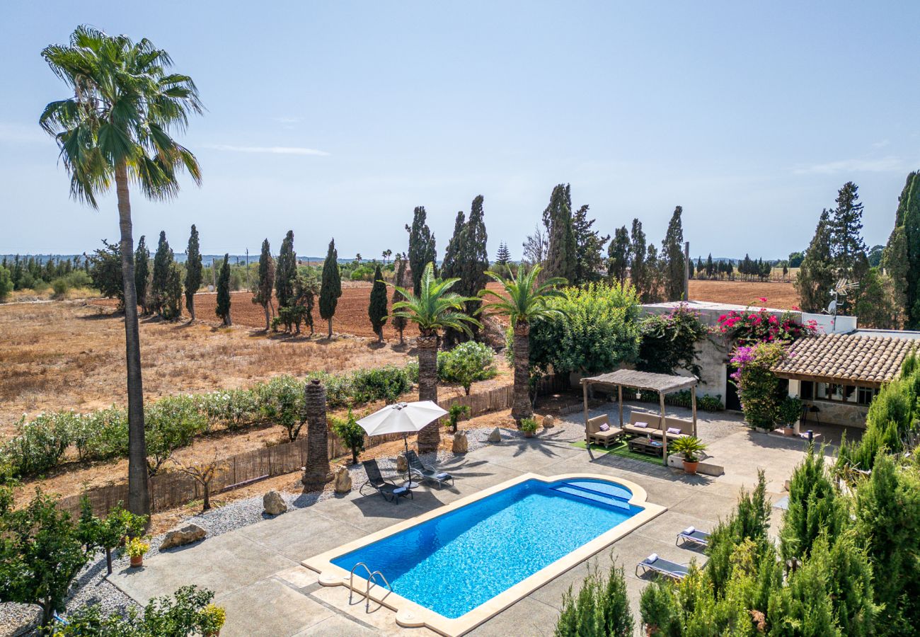 Chalet in Sa Pobla - Finca mit Pool Son Manyo 1 Gran in Sa Pobla