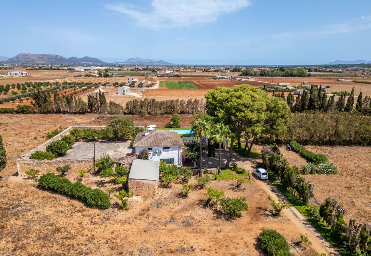 Finca in Sa Pobla - Finca mit Pool Son Manyo Gran I Sa Pobla