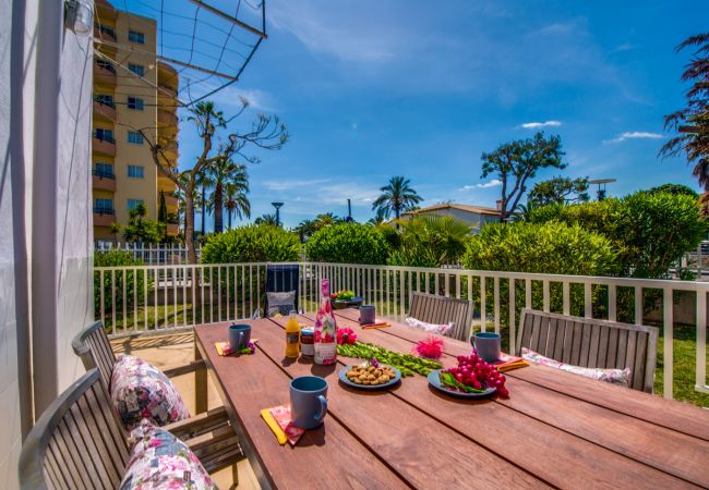 Apartamento en Alcúdia - Apartamento cerca de la playa Avus en Alcudia