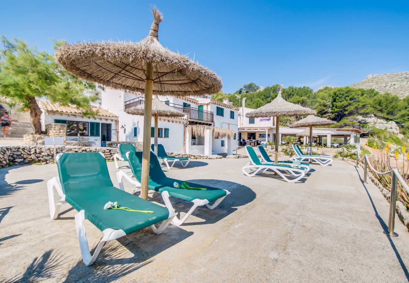 Apartamento en Cala San Vicente - Apartamento en la playa Barques 3 en Mallorca