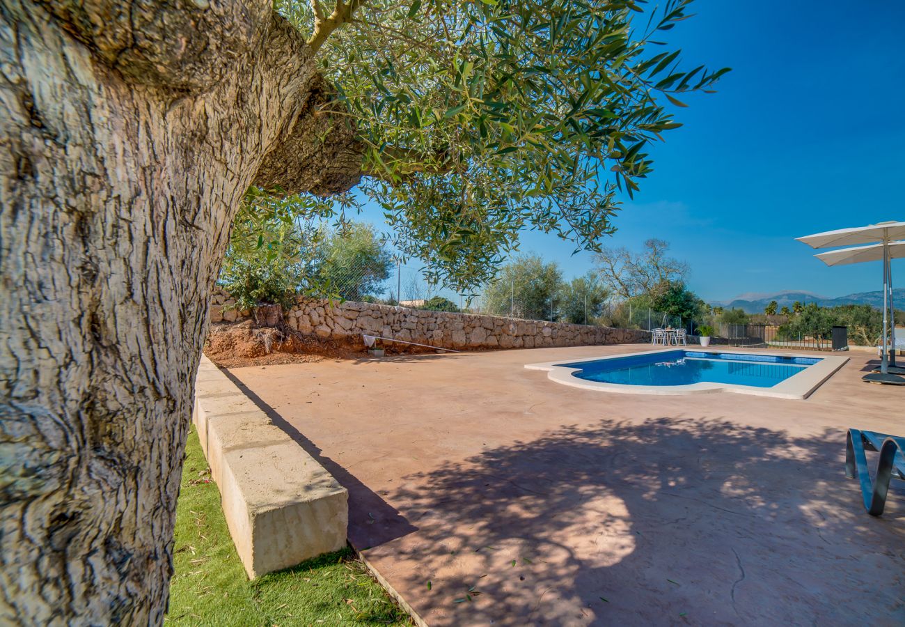 Finca en Sencelles - Finca rustica en Mallorca Can Brivo con piscina