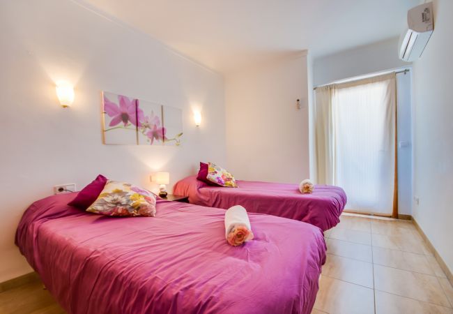 Apartamento en Alcúdia - Apartamento en Alcudia Concha cerca playa