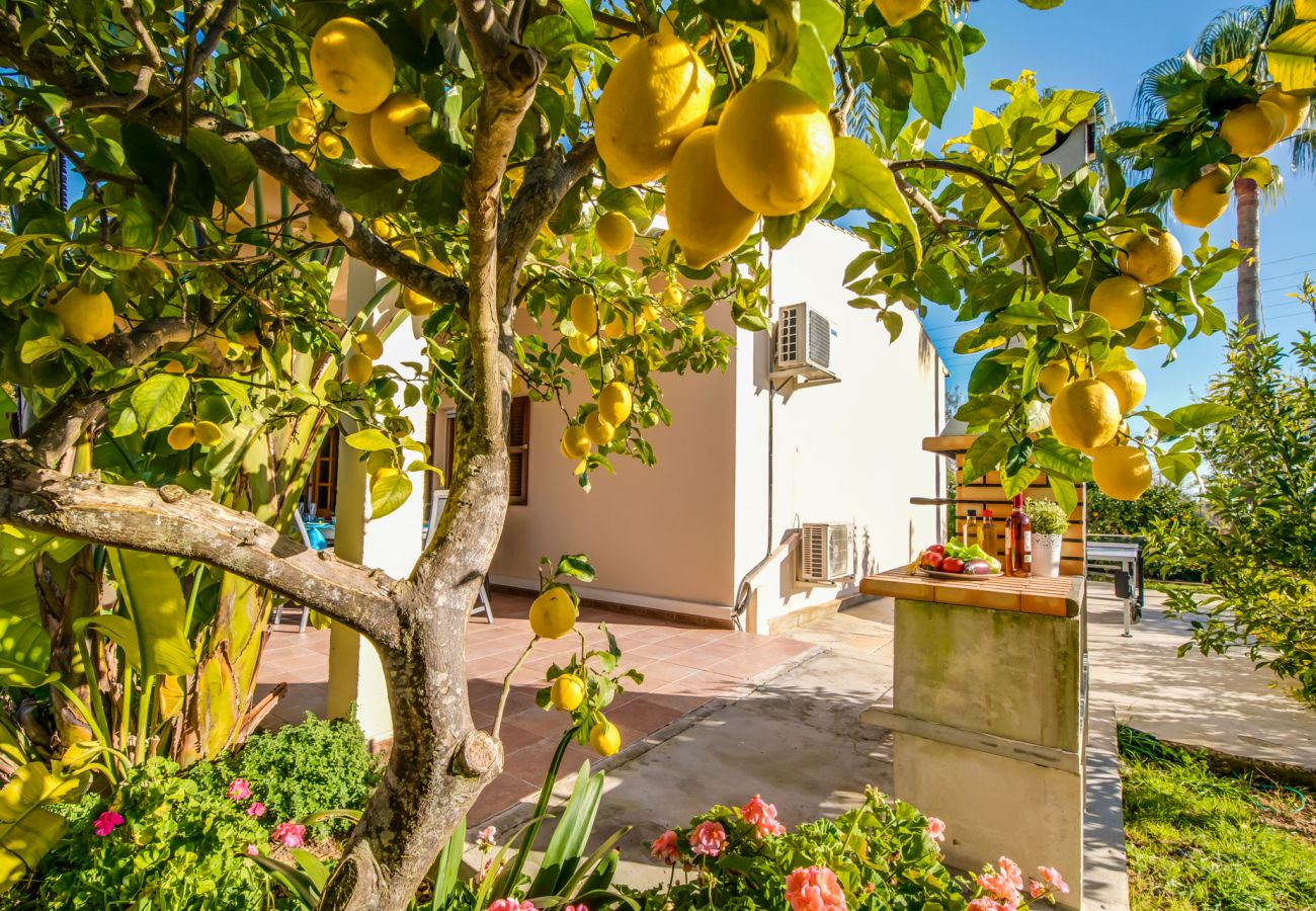 Finca en Inca - Finca rural con piscina Es Pascolet en Mallorca