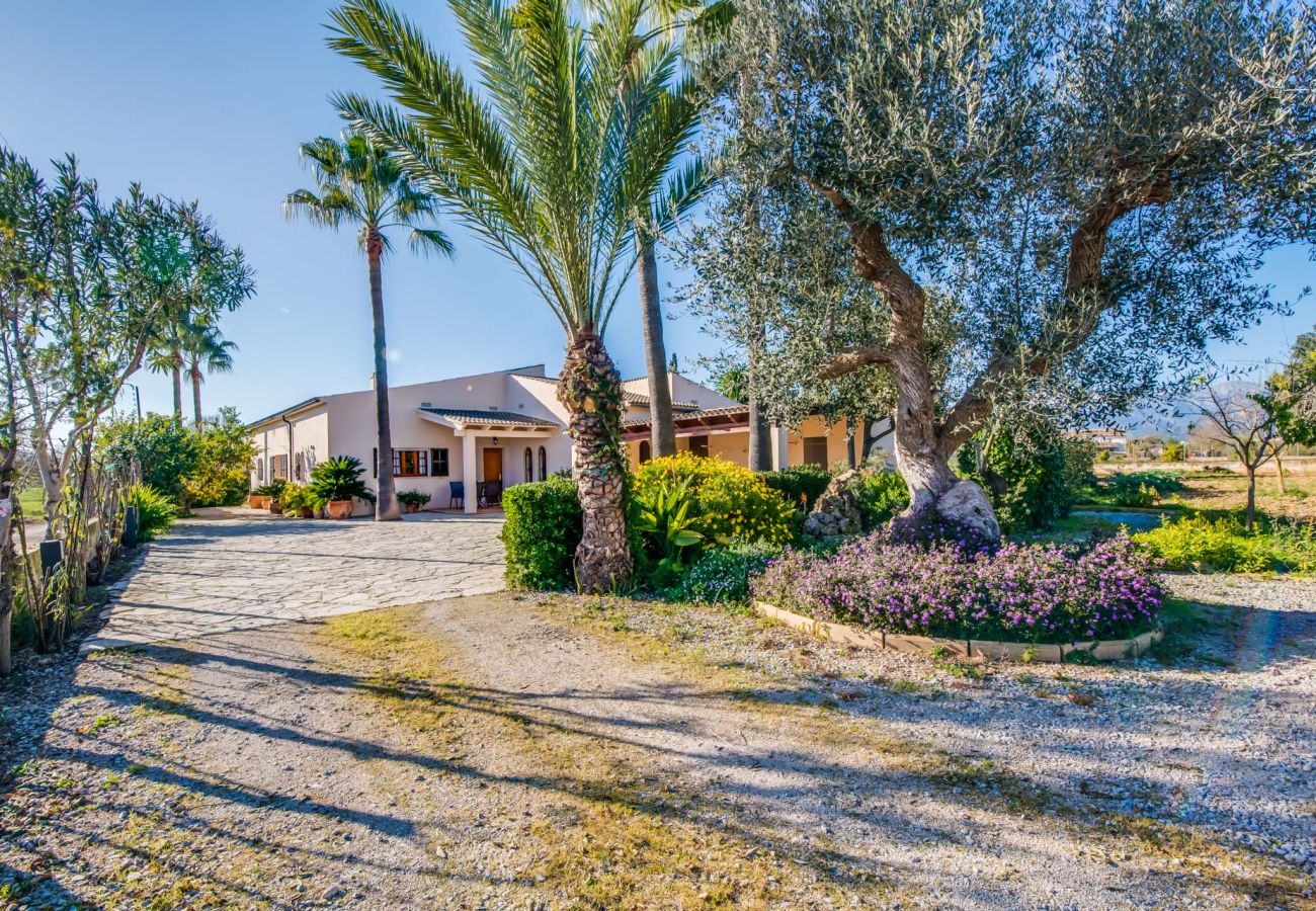 Finca en Inca - Finca rural con piscina Es Pascolet en Mallorca