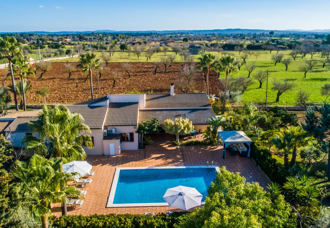 Finca en Inca - Finca rural con piscina Es Pascolet en Mallorca