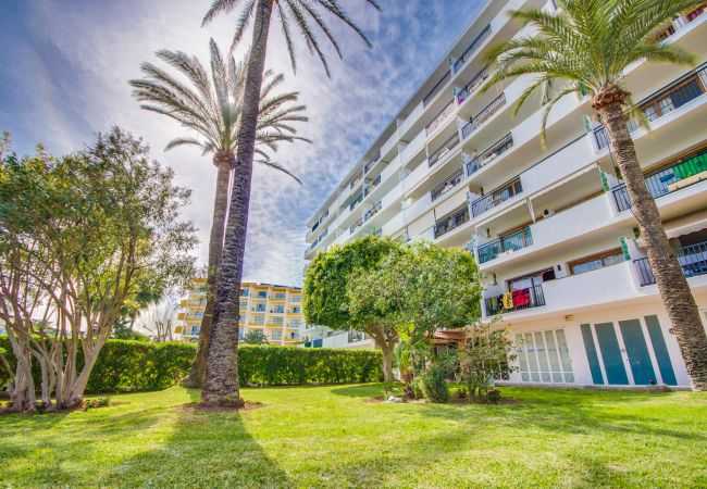 Apartamento en Puerto de Alcudia - Apartamento con piscina Primavera Alcudia