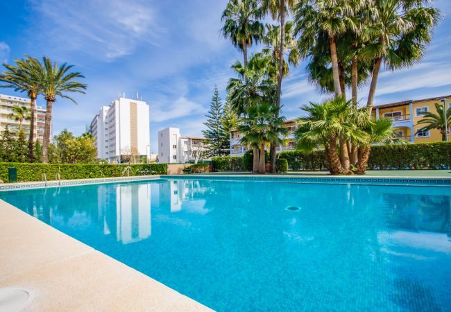 Apartamento en Puerto de Alcudia - Apartamento con piscina Primavera Alcudia