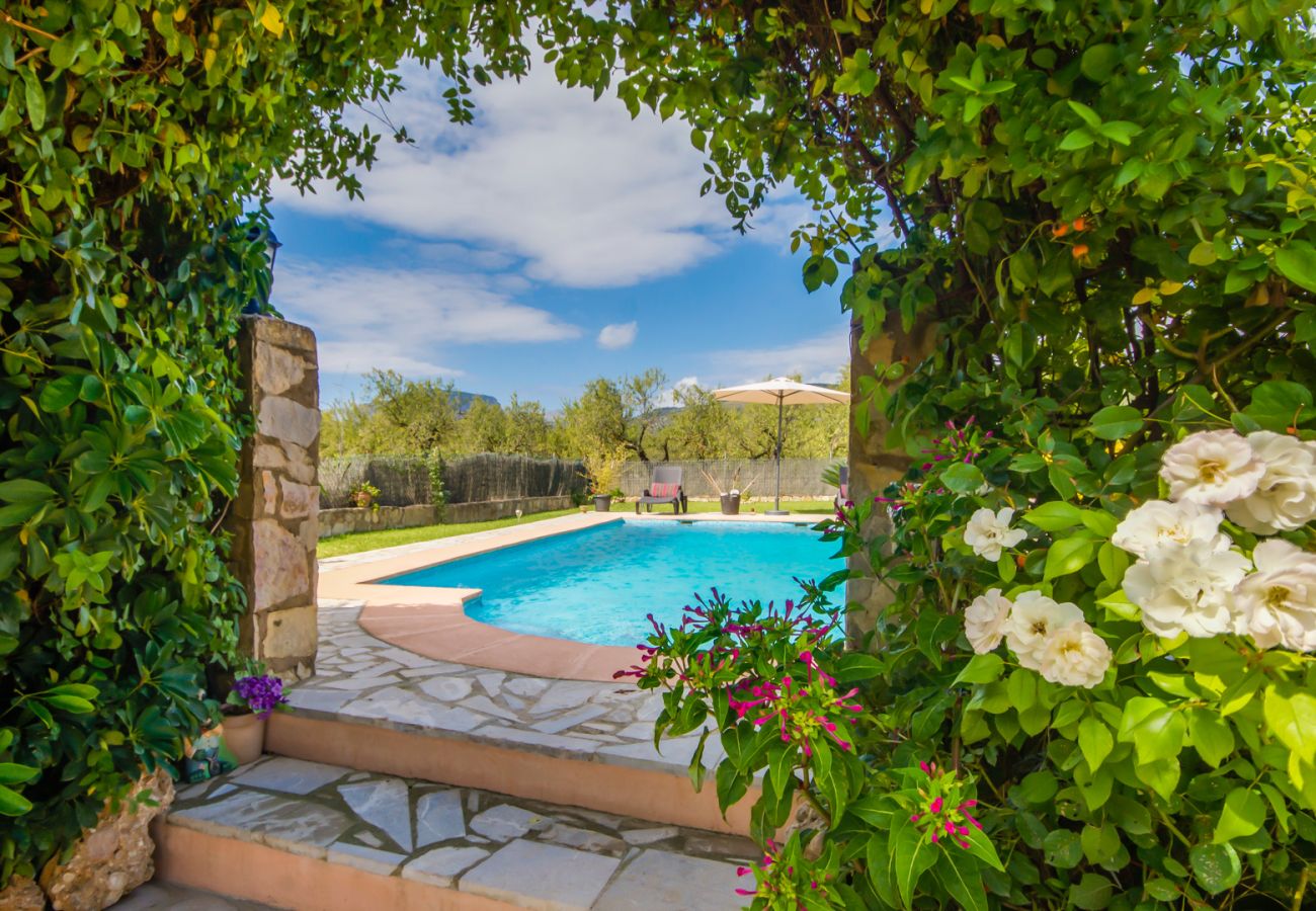 Vacaciones en Mallorca en finca con piscina. 