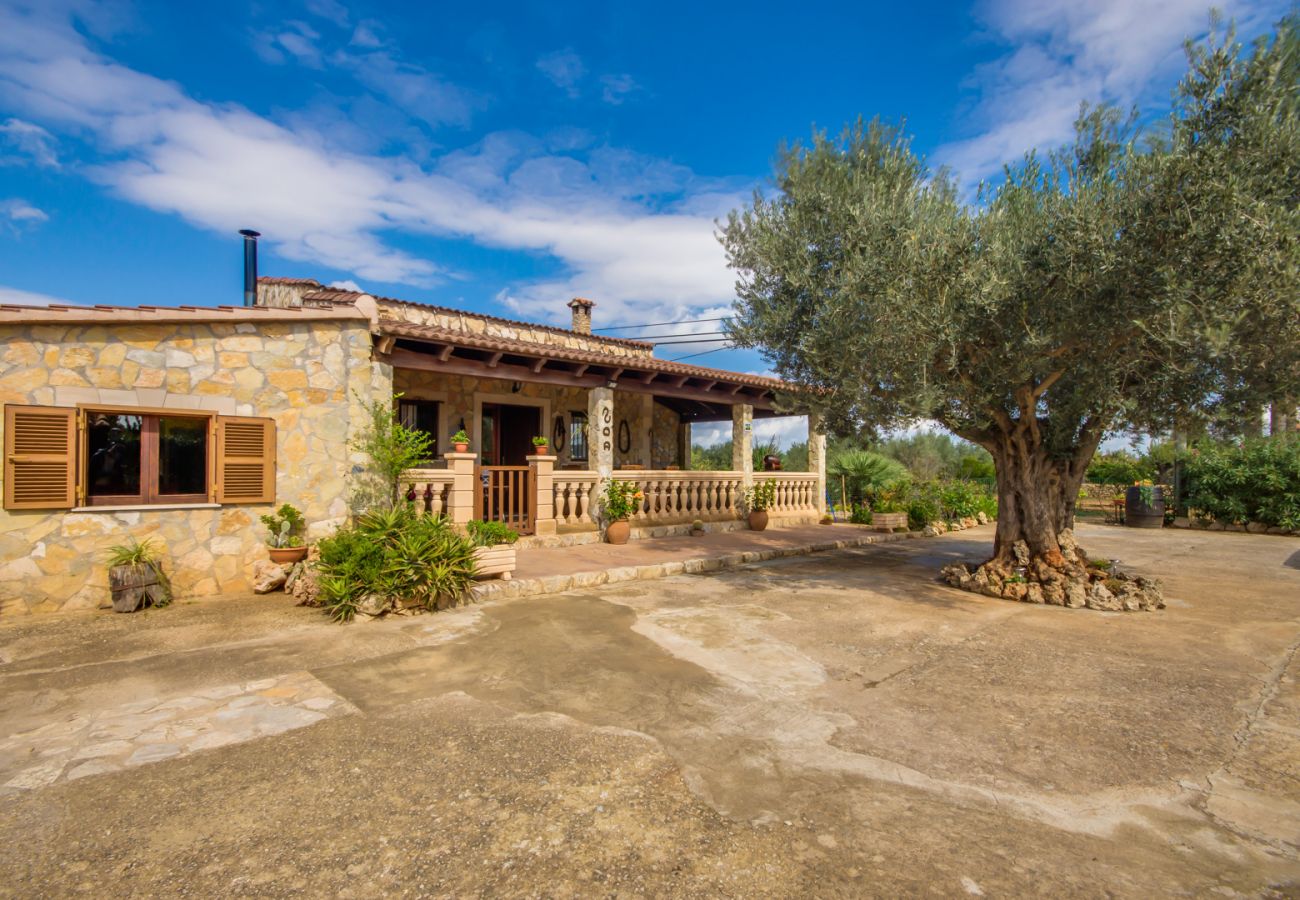 Finca en Inca - Finca rural con piscina Casa de Puri en Mallorca