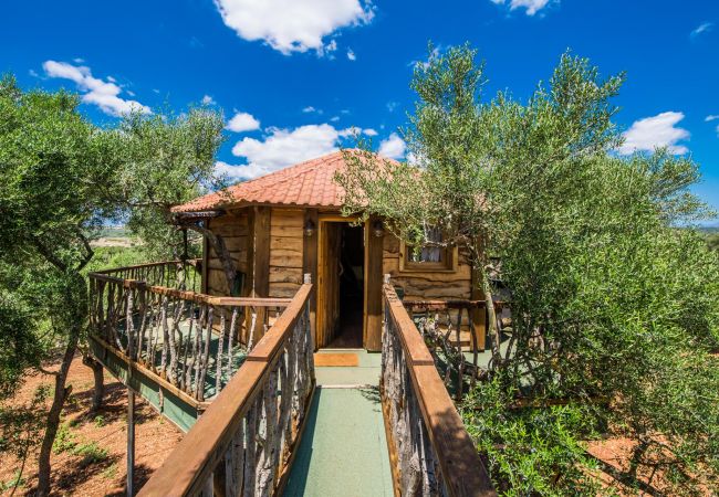 Finca rural en Mallorca con piscina, barbacoa y casa de árbol 